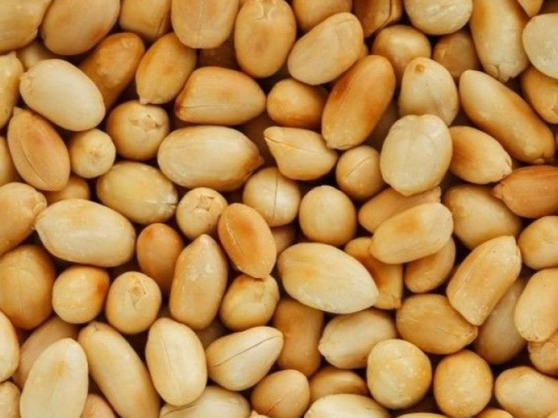 Groundnuts